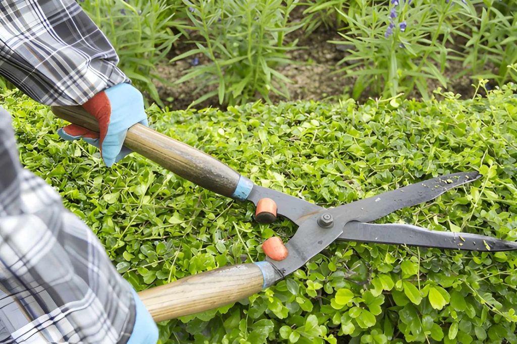 Gardening