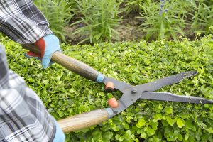 Gardening