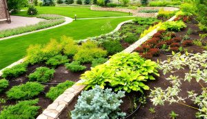 Landscaping