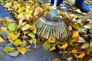 Rubbish Removal